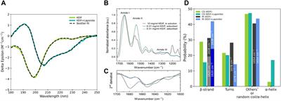 Molecular dynamics simulations of the adsorption of an intrinsically disordered protein: Force field and water model evaluation in comparison with experiments